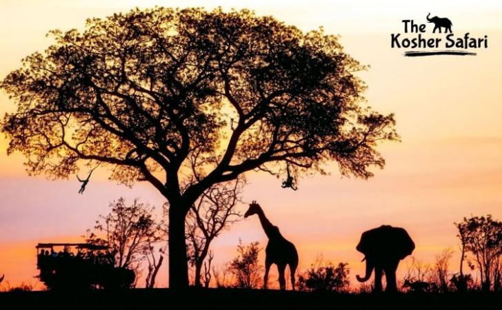 Southern African Kosher Travel 2024 with The Kosher Safari! 