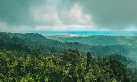 El Yunque rainforest in Puerto Rico