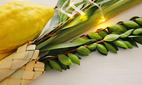 Guide to Sukkot programs 2024