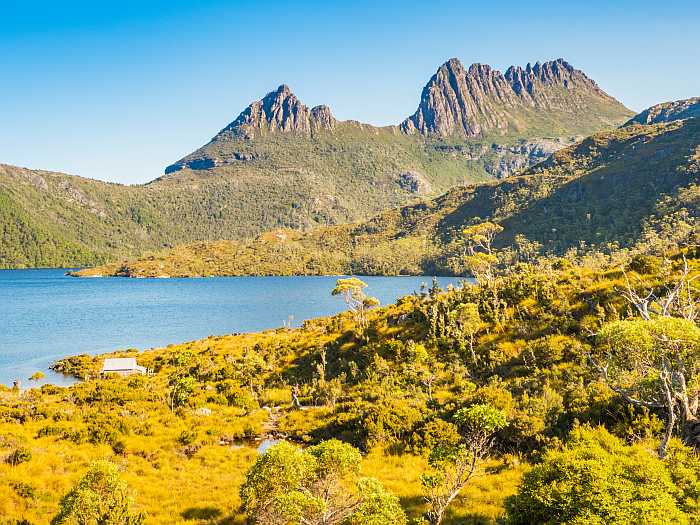 Chabad Tasmania