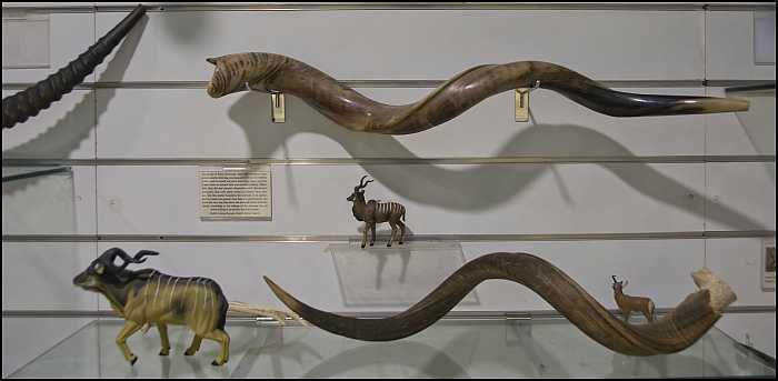 Biblical Museum of Natural History - Israel.