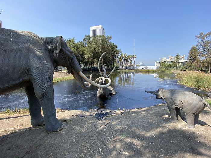 kosher vacation guide to LA - la brea tar pits.