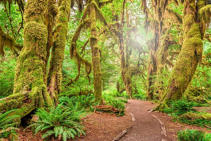 Olympic National Park - kosher travel.