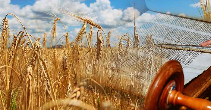 Jewish calendar -spring holidays - Shavuot.